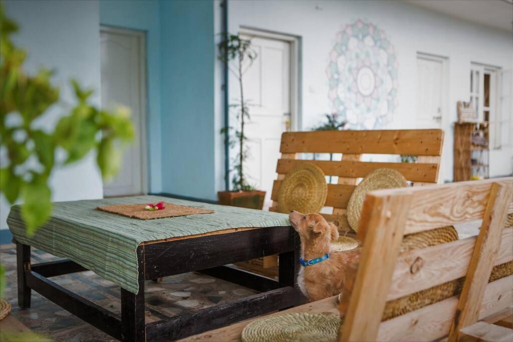 Ananda Tree House Eco Homestay Kathmandu Luaran gambar